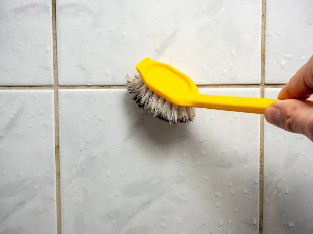 Best Residential Mold Remediation in Divernon, IL
