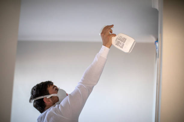Best DIY Mold Remediation Support Services in Divernon, IL