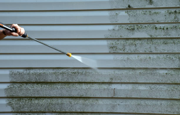 Best Mold Remediation for Specific Building Types in Divernon, IL