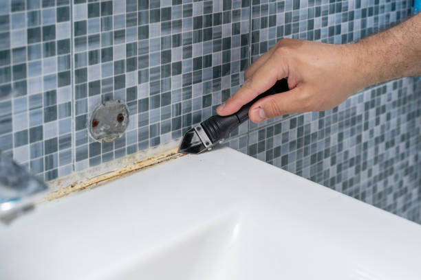 Best Residential Mold Remediation in Divernon, IL